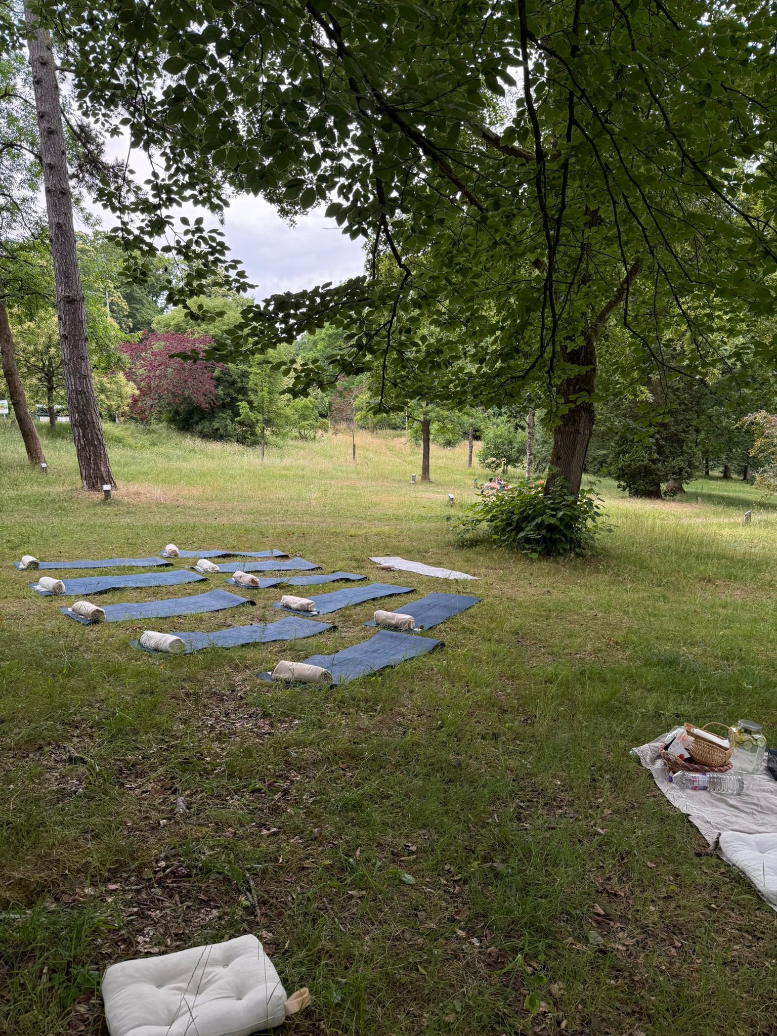 Meditation and sound bath